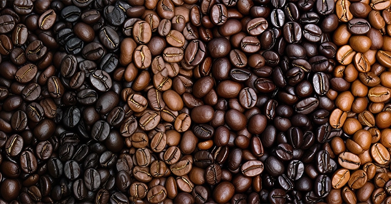 Different Types of Coffee Beans